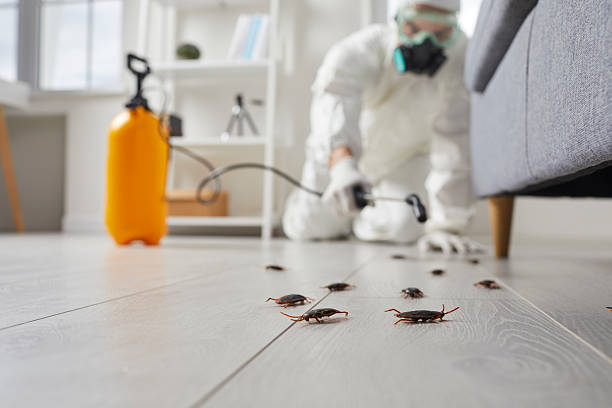 Commercial Rodent Management in Landover Hills